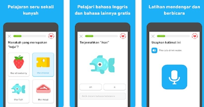 Rekomendasi Aplikasi Digital untuk Belajar Otodidak